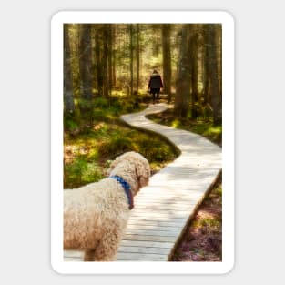 Dogs On The Trail 3 Sticker